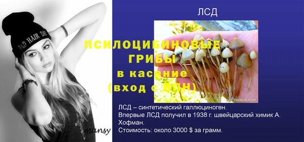 спайс Алексин