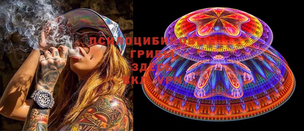 спайс Алексин