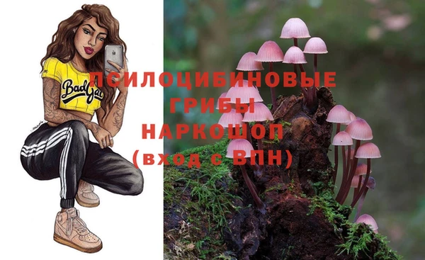 тгк Алексеевка